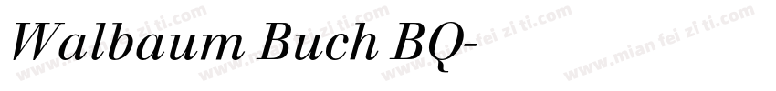 Walbaum Buch BQ字体转换